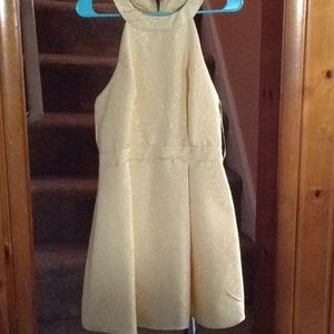 Beauty and the beast addition dress